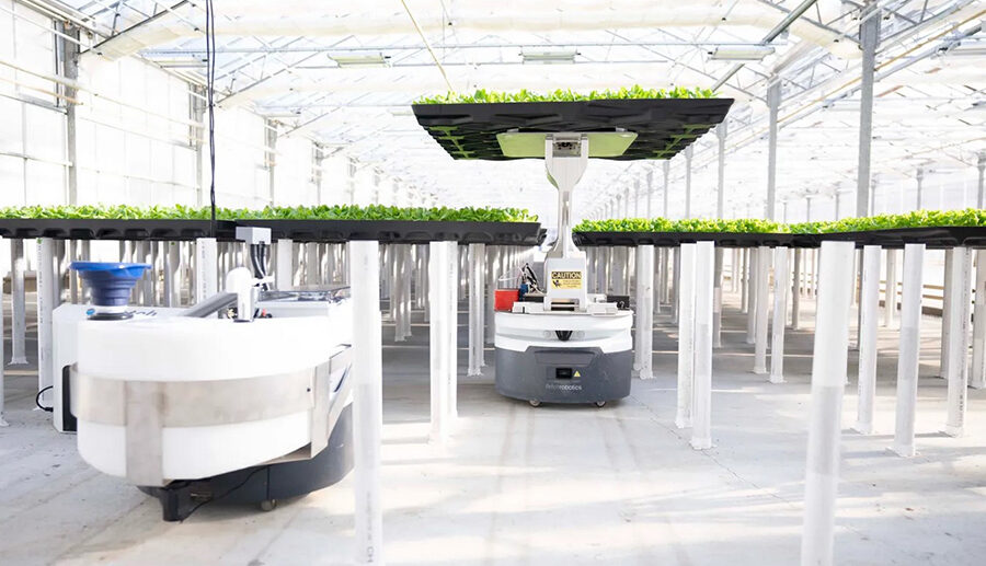 Hippo Harvest: Transforming Indoor Farming with Robotics and AI